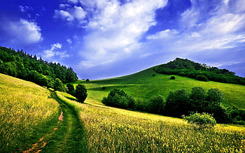 Landscape, Nature, Fields HD wallpaper