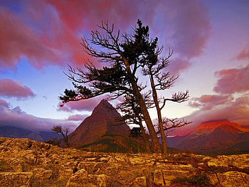 Nature, Sunset, Stones, Sky, Mountain, Wood, Tree, Evening HD wallpaper