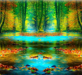 Colours of Twilight, rays, light, forests, colours, flowers, water HD wallpaper