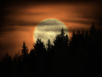 Trees, Art, Night, Moon, Dark HD wallpaper
