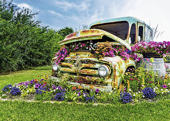 Unusual Flower Garden, old, unusual, car, garden, flowers, vintage HD wallpaper