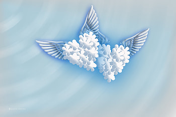 Heart With Wings, , Vibrant background, Heart illustration HD wallpaper