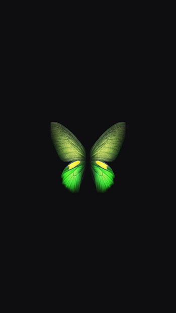 Green Butterfly, Beautiful, Background HD phone wallpaper