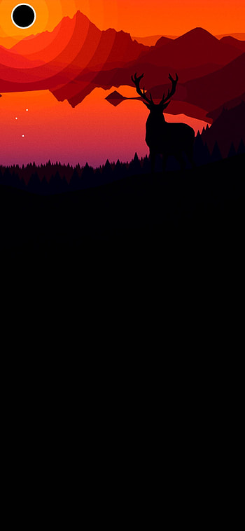 Олень, hide the front camera HD phone wallpaper