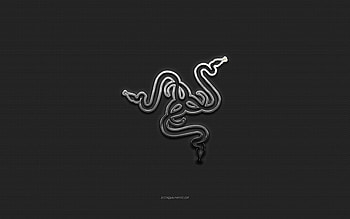 Razer logo, gray metal background, Razer metal logo, Razer emblem, Razer steel emblem, Razer, metal texture HD wallpaper