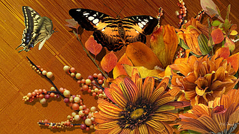 Falls Colors, september, firefox persona, fall, berries, orange, october, season, butterfly, november, autumn, flowers HD wallpaper