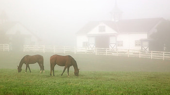 Lexington travels, Forget Louisville, stores, Kentucky destination HD wallpaper