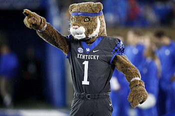 Mascot, Kentucky Wildcats HD wallpaper