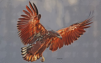 eagle, , vector art, eagle drawing, creative art, eagle art, vector drawing, abstract birds, birds of prey HD wallpaper