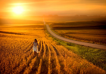 Open Fields, sunshine, horizon, landscape, girl, way, SkyPhoenixX1, corn, fields, road, nature, sun, sunset HD wallpaper