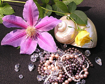 To my precious Valentine, crystals, present, wonderful, gift, precious, valentine, rose, lavender, pearls, together, swarovski, luxury, entertainment, beautiful, purple, fashion, life, violet, love, yellow, forever HD wallpaper