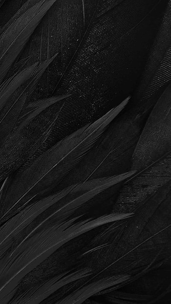 Feathers, Matte Black HD phone wallpaper