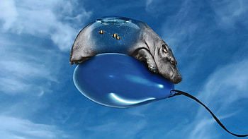 ~It's on the balloon~, other, cg, abstract, 3d HD wallpaper