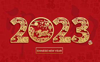 Year of the rabbit, holiday, Chinese New Year HD wallpaper