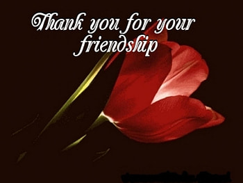 Thank You, flower, quote, nature, friendship HD wallpaper