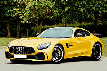 An elegant yellow sports car parked outdoors in a park setting, surrounded by lush greenery. HD wallpaper
