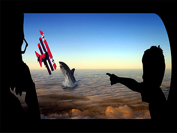 Shark Attack, window, man, plane, shark, dual-screen, silhouette, child HD wallpaper