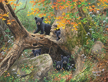 young black bears, puppies, natur, black bears, bear HD wallpaper