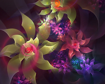 flower art gallery, flowers, colorful HD wallpaper