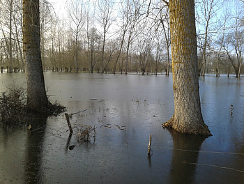 marais, bm, forests, nature, france HD wallpaper