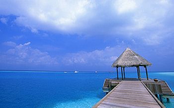 Beach Life , life, beach HD wallpaper