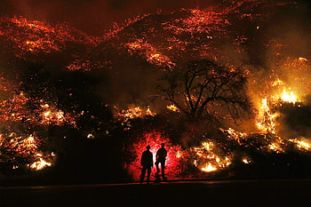 Two Man Standing In Front Of Forest Fire, others HD wallpaper