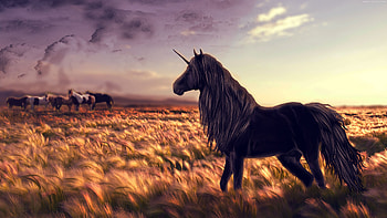 Unicorn In Field, unicorn, artist, artwork, digital-art HD wallpaper
