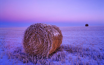 Landscape, Fields HD wallpaper