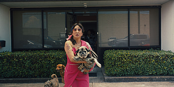 Stylish Quiz Lady with Pug -, movie, Quiz Lady HD wallpaper