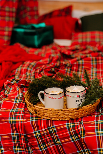 Holidays, Pine, New Year, Christmas, Branches, Mugs, Plaid HD phone wallpaper