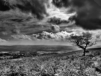 Landscape, Grass, Sky HD wallpaper