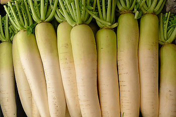 Daikon radish edition, Midtown farmers market, Food HD wallpaper