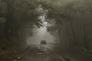 Mysterious foggy road scene in Galicia, Spain, evokes an atmospheric travel adventure. HD wallpaper