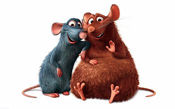 Remy and Emile, Ratatouille HD wallpaper