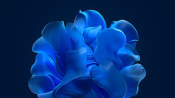 Abstract Blue Bloom, Abstract, blue, abstract blue HD wallpaper