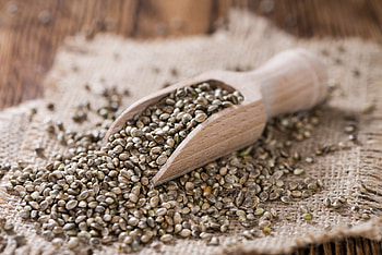 Personal arthritis story, Hempseed alleviation, Sensi Seeds experience, Unexpected remedy HD wallpaper