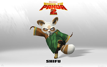 Master Shifu, Kung Fu mentor, Wise teachings, Martial arts mastery HD wallpaper