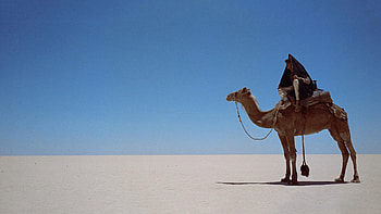 Lawrence of Arabia, Historical epic, Desert adventure, Iconic cinematography HD wallpaper