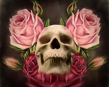 ~Skull & Roses~, love four seasons, halloween, holiday, roses, fantasy, skull, digital art, creative pre-made HD wallpaper