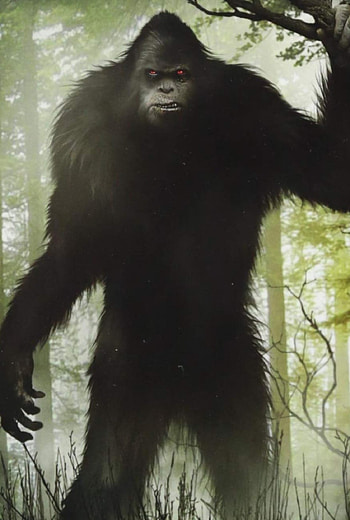 Bigfoot nation, History of sasquatch, North America, David Hatcher HD phone wallpaper