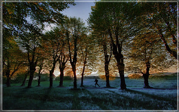 Loneliness of the long distance runner, distance, runner, loneliness HD wallpaper