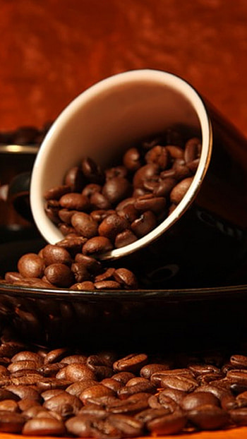 Kenyan coffee delight, Rich flavors, Ethiopian origins, African brew HD phone wallpaper