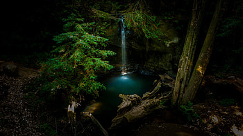 Waterfall, trees, water, forest HD wallpaper