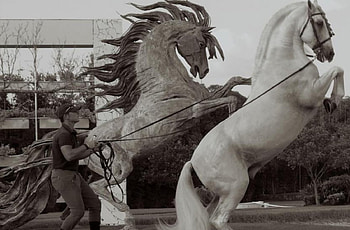 Resemblance, spanish, andalusian, horses, white, iberian HD wallpaper