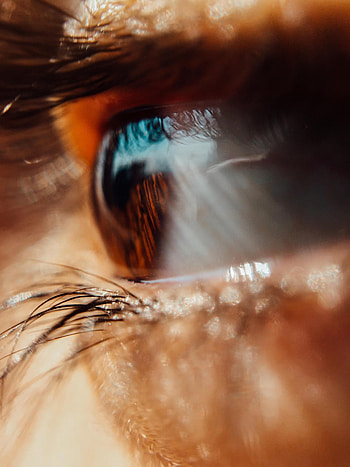 Macro, Eye, Pupil, Eyelash, Eyelashes HD phone wallpaper