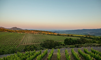 Napa Valley cellar, Wine collection, Wine enthusiasts, Wine tourism HD wallpaper