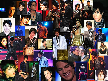 adam ness, sexy, adam lambert, smile, hot cute HD wallpaper