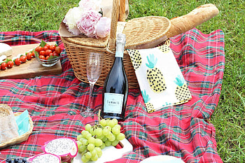 Summer picnic, La Marca Prosecco, Outdoor dining, Food HD wallpaper