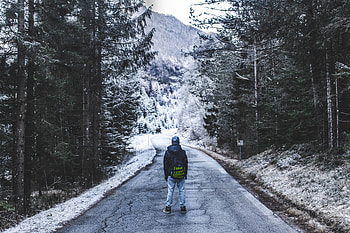 Winter, Nature, Road, Forest, Stroll, Loneliness HD wallpaper