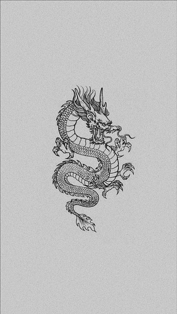 White Chinese dragon, symbol, art HD phone wallpaper